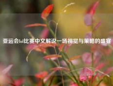 亚运会lol比赛中文解说一场视觉与策略的盛宴