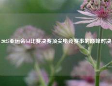 2025亚运会lol比赛决赛顶尖电竞赛事的巅峰对决