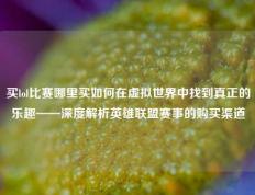 买lol比赛哪里买如何在虚拟世界中找到真正的乐趣——深度解析英雄联盟赛事的购买渠道
