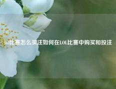lol比赛怎么买注如何在LOL比赛中购买和投注