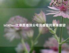 lol2025msi比赛直播顶尖电竞盛宴的未来展望