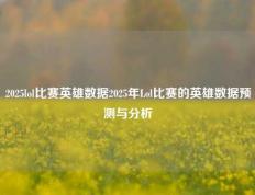 2025lol比赛英雄数据2025年Lol比赛的英雄数据预测与分析
