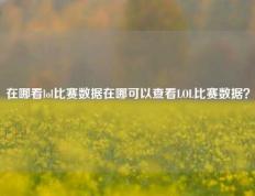 在哪看lol比赛数据在哪可以查看LOL比赛数据？