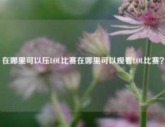 在哪里可以压LOL比赛在哪里可以观看LOL比赛？