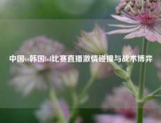 中国vs韩国lol比赛直播激情碰撞与战术博弈