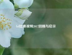 lol比赛视频2017回顾与启示