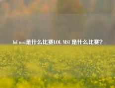 lol msi是什么比赛LOL MSI 是什么比赛？