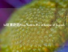 lol比赛赵信From Noob to Pro in League of Legends