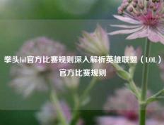 拳头lol官方比赛规则深入解析英雄联盟（LOL）官方比赛规则