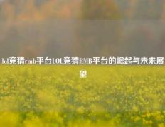 lol竞猜rmb平台LOL竞猜RMB平台的崛起与未来展望