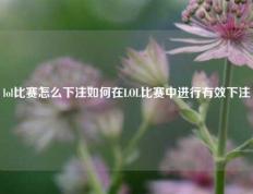 lol比赛怎么下注如何在LOL比赛中进行有效下注
