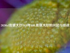 2020lol竞猜大厅2020年LOL竞猜大厅的兴起与挑战