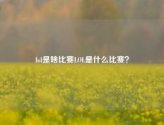 lol是啥比赛LOL是什么比赛？