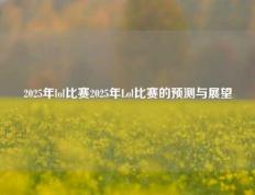 2025年lol比赛2025年Lol比赛的预测与展望