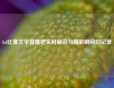 lol比赛文字直播吧实时解说与精彩瞬间的记录