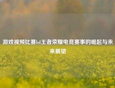 游戏视频比赛lol王者荣耀电竞赛事的崛起与未来展望