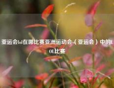 亚运会lol在哪比赛亚洲运动会（亚运会）中的LOL比赛