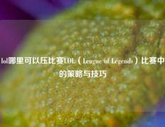 lol哪里可以压比赛LOL（League of Legends）比赛中的策略与技巧