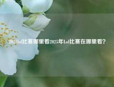 2025lol比赛哪里看2025年Lol比赛在哪里看？