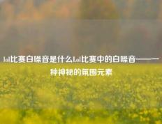 lol比赛白噪音是什么Lol比赛中的白噪音——一种神秘的氛围元素