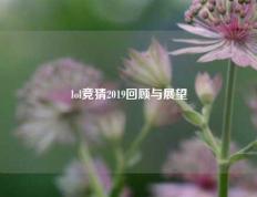 lol竞猜2019回顾与展望