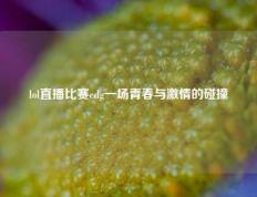 lol直播比赛edg一场青春与激情的碰撞
