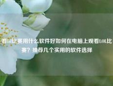看lol比赛用什么软件好如何在电脑上观看LOL比赛？推荐几个实用的软件选择
