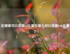 在哪里可以竞猜lol比赛在哪儿可以竞猜LOL比赛？