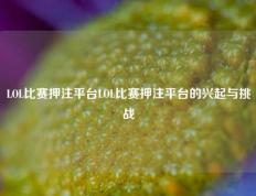 LOL比赛押注平台LOL比赛押注平台的兴起与挑战
