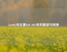 lol2025年比赛LOL 2025年的展望与预测