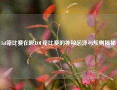 lol赌比赛在哪LOL赌比赛的神秘起源与规则揭秘