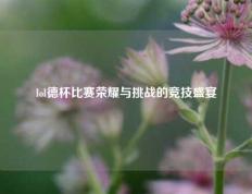 lol德杯比赛荣耀与挑战的竞技盛宴