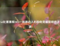 lol比赛赛程2025一场激动人心的电竞盛宴即将上演