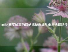 LOL比赛买输赢的网站揭秘市场乱象与选择路径