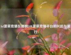 lol菠菜竞猜在哪啊LOL菠菜竞猜平台的兴起与流行