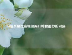 lol暗杀星比赛视频揭开神秘面纱的对决