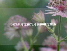 2025lol9月比赛九月的辉煌与期待