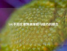 LOL手游比赛预测策略与技巧的融合