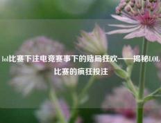 lol比赛下注电竞赛事下的赌局狂欢——揭秘LOL比赛的疯狂投注