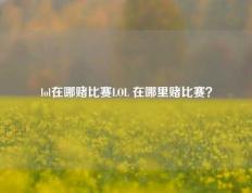 lol在哪赌比赛LOL 在哪里赌比赛？