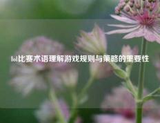 lol比赛术语理解游戏规则与策略的重要性