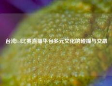 台湾lol比赛直播平台多元文化的碰撞与交融
