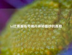 lol比赛服账号揭开神秘面纱的真相