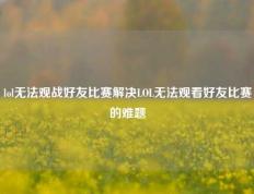 lol无法观战好友比赛解决LOL无法观看好友比赛的难题