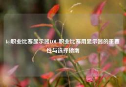 lol职业比赛显示器LOL 职业比赛用显示器的重要性与选择指南