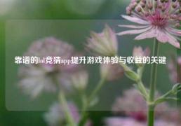 靠谱的lol竞猜app提升游戏体验与收益的关键