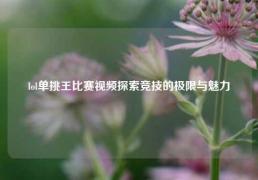 lol单挑王比赛视频探索竞技的极限与魅力