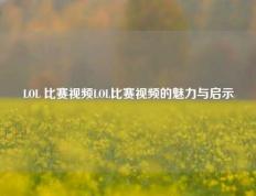 LOL 比赛视频LOL比赛视频的魅力与启示