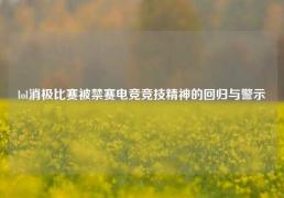 lol消极比赛被禁赛电竞竞技精神的回归与警示