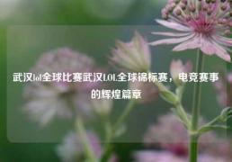 武汉lol全球比赛武汉LOL全球锦标赛，电竞赛事的辉煌篇章